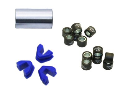 Polini Variator Kit for Honda Ruckus