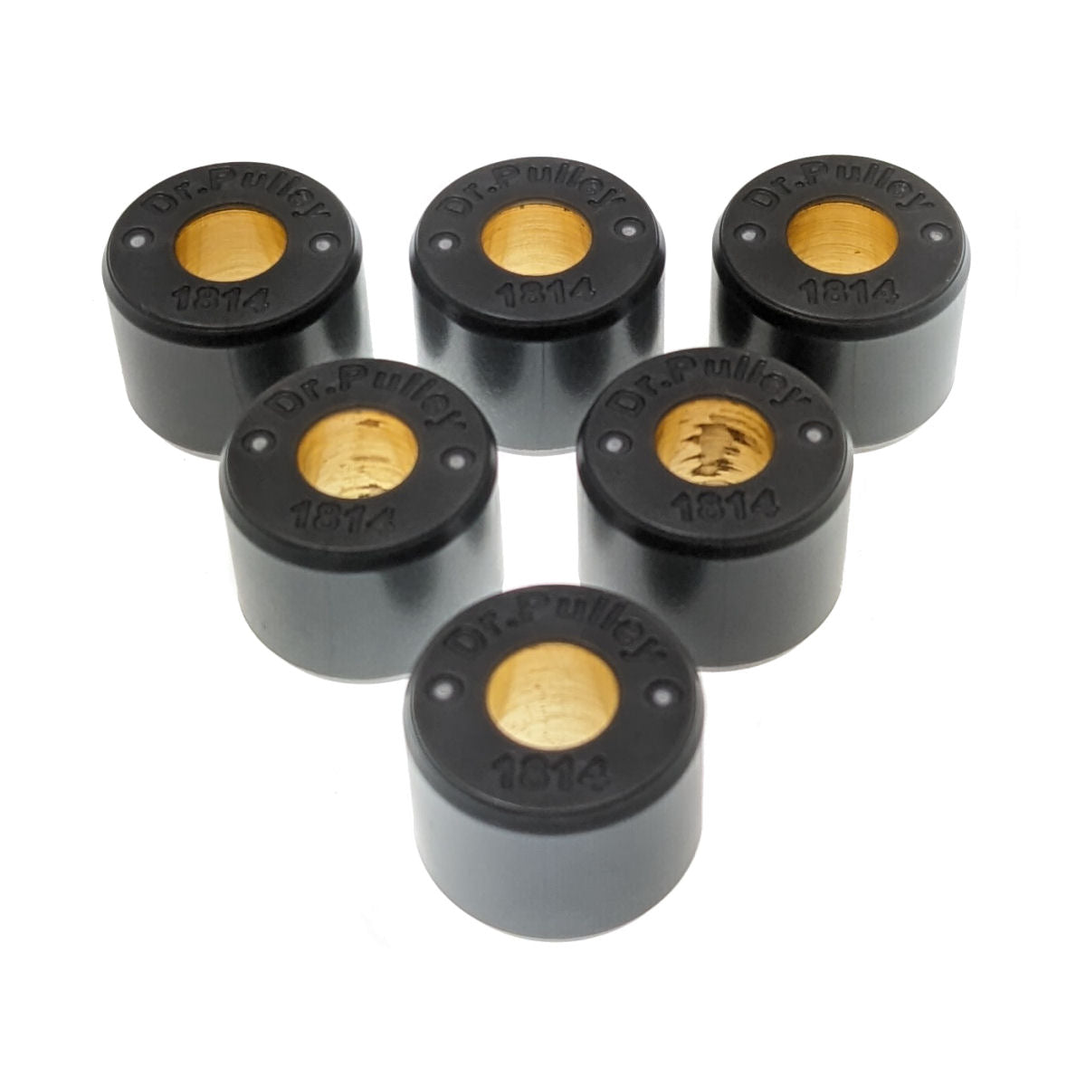 Dr. Pulley 18x14 Round Roller Weights