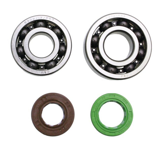 SSP-G QMB139 Bearing & Seal Kit