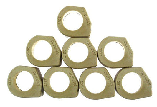Dr. Pulley 25x17 Sliding Roller Weights